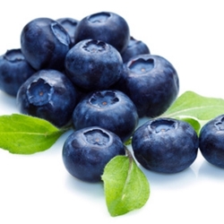 TPA příchuť Blueberry Extra 15ml (Borůvka)