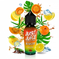 Příchuť Just Juice Exotic Fruits Shake and Vape Lulo & Citrus Ice