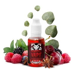 Příchuť Vampire Vape 30ml Blood Sukka