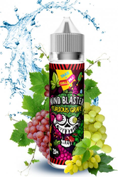 PŘÍCHUŤ CHILL PILL SHAKE AND VAPE MIND BLASTER 20ML