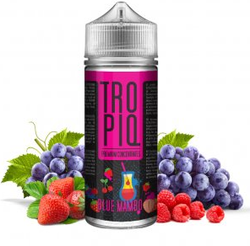 PŘÍCHUŤ TROPIQ SHAKE AND VAPE 15ML BLUE MAMBO